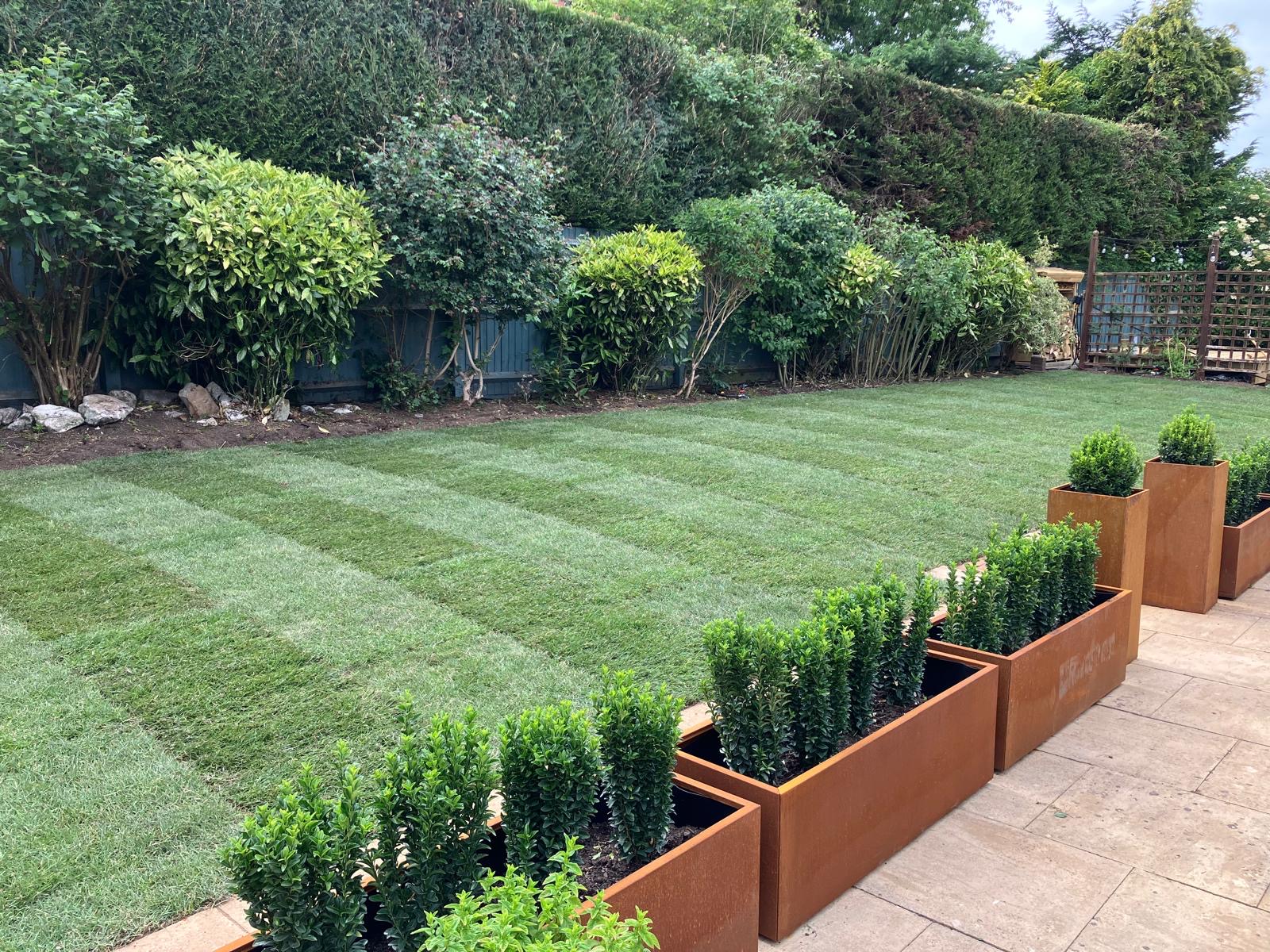 Striped lawn and borders