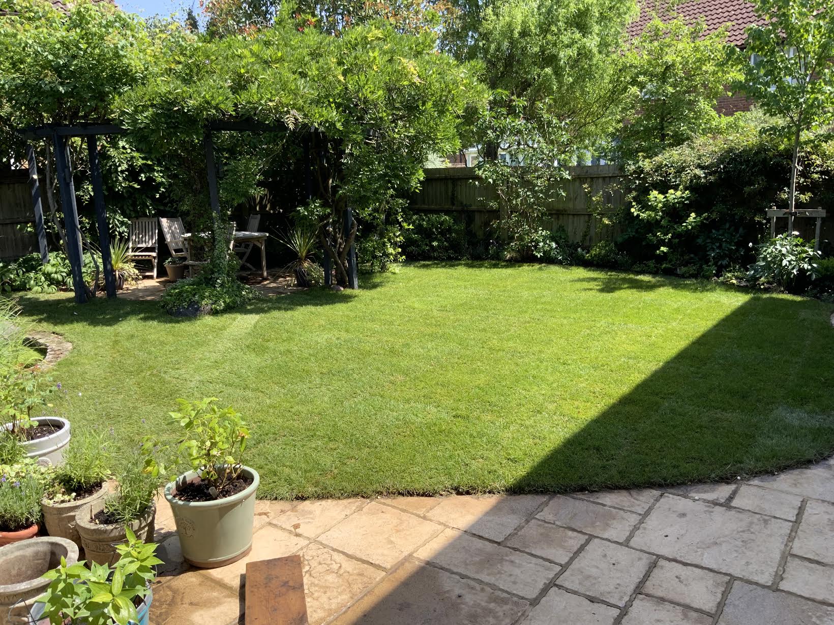New lawn transformation after