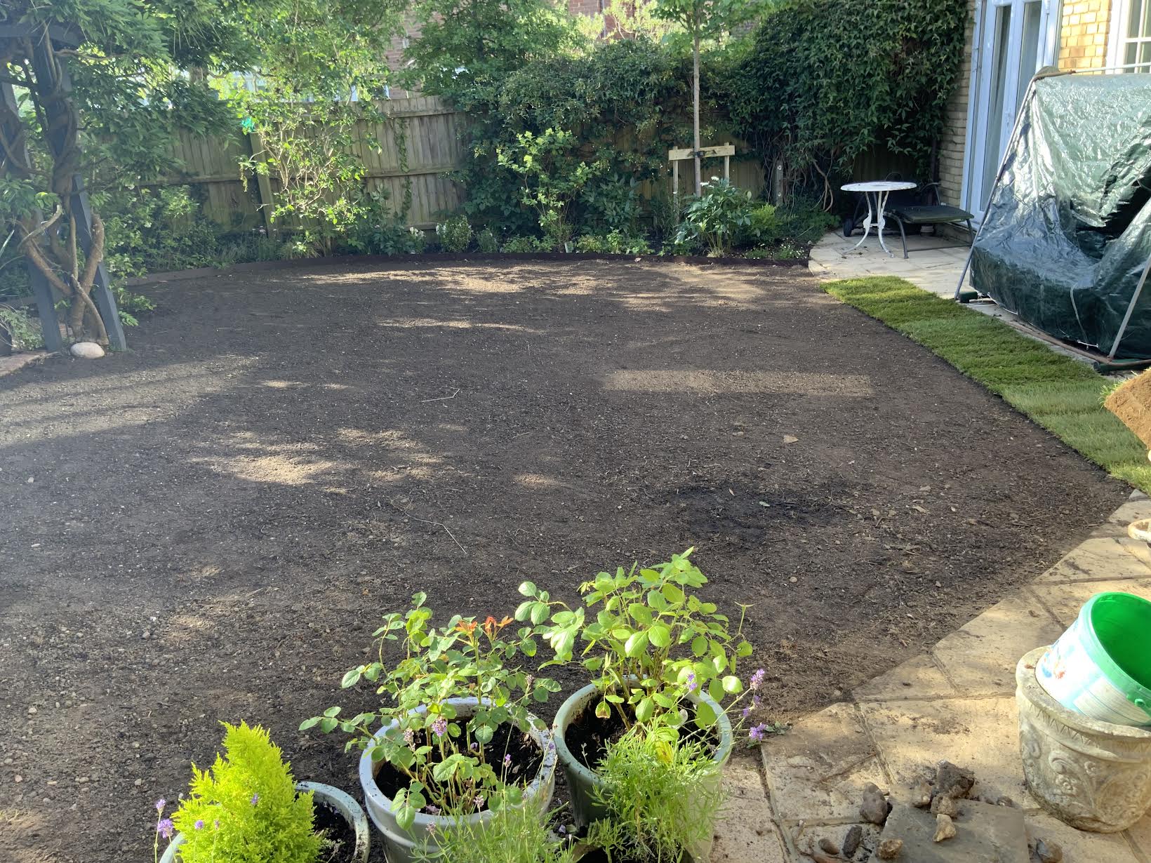 New lawn transformation before