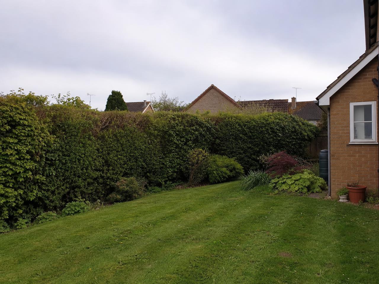 Hedge Planting